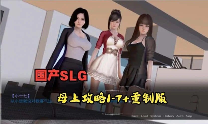 母上攻略 支线内容 画面 1